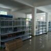 RAK GONDOLA MINIMARKET DISPLAY TOKO MURAH TIPE JF-15 | RAJA RAK TOKO | RAKTOKO.ID